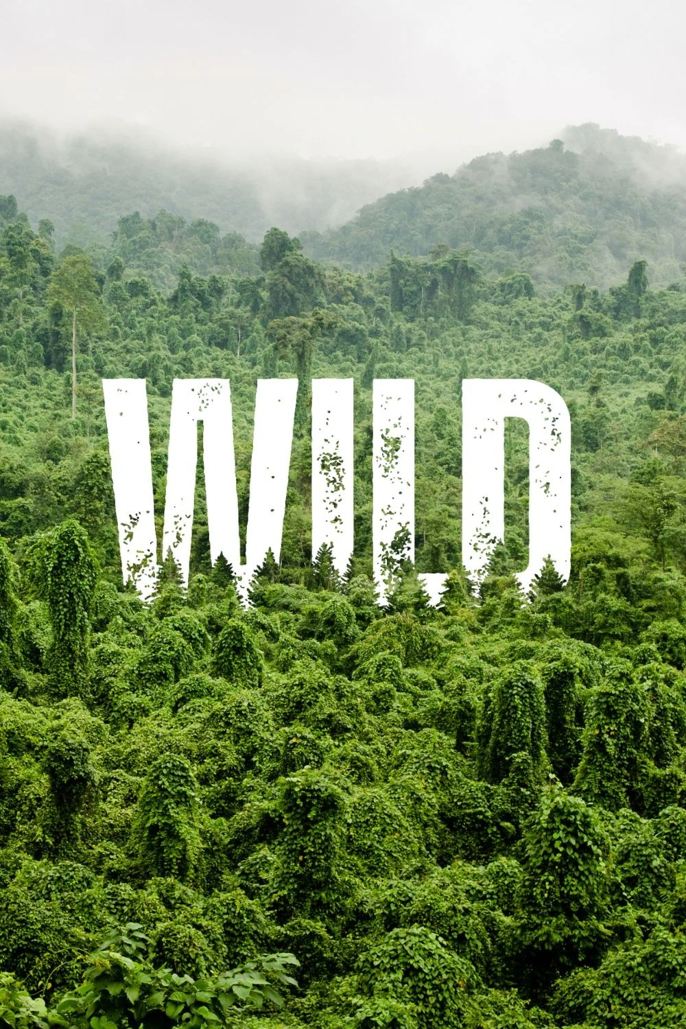 Wild Forest Typography